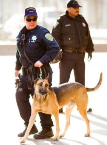 San Francisco police on the streets